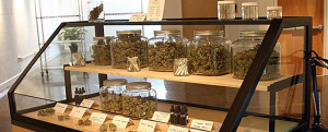 Cannabis Club Mostrador